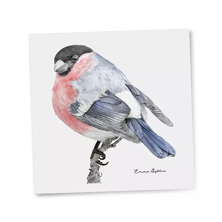 Emma Sjodin: Gift Card, Bullfinch