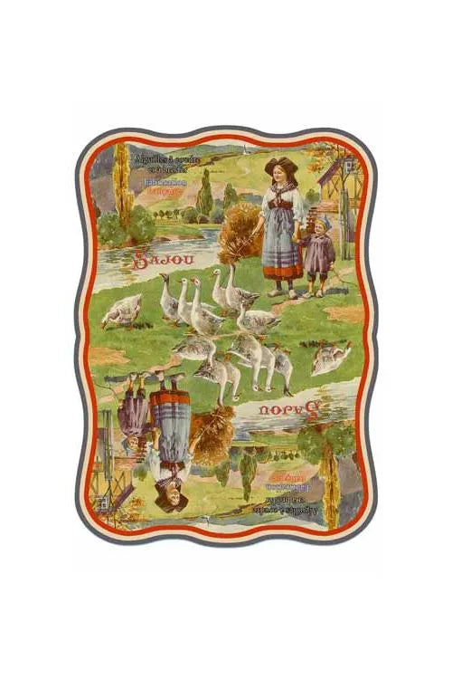 Sajou Selection 40 Needles Paimpol