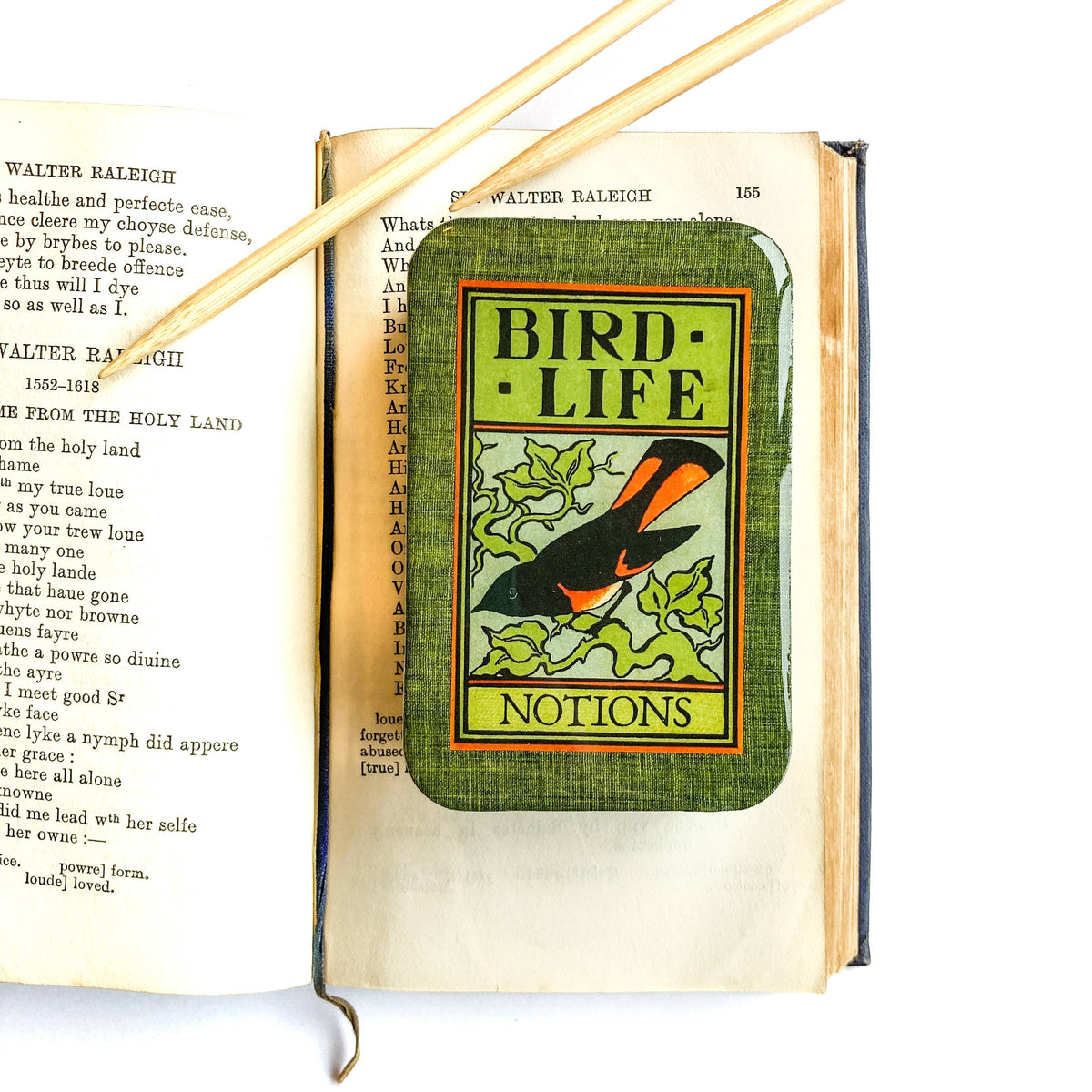 Bird life notions tin