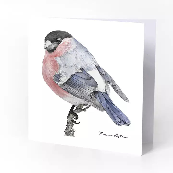 Emma Sjodin: Greeting Card, Bullfinch