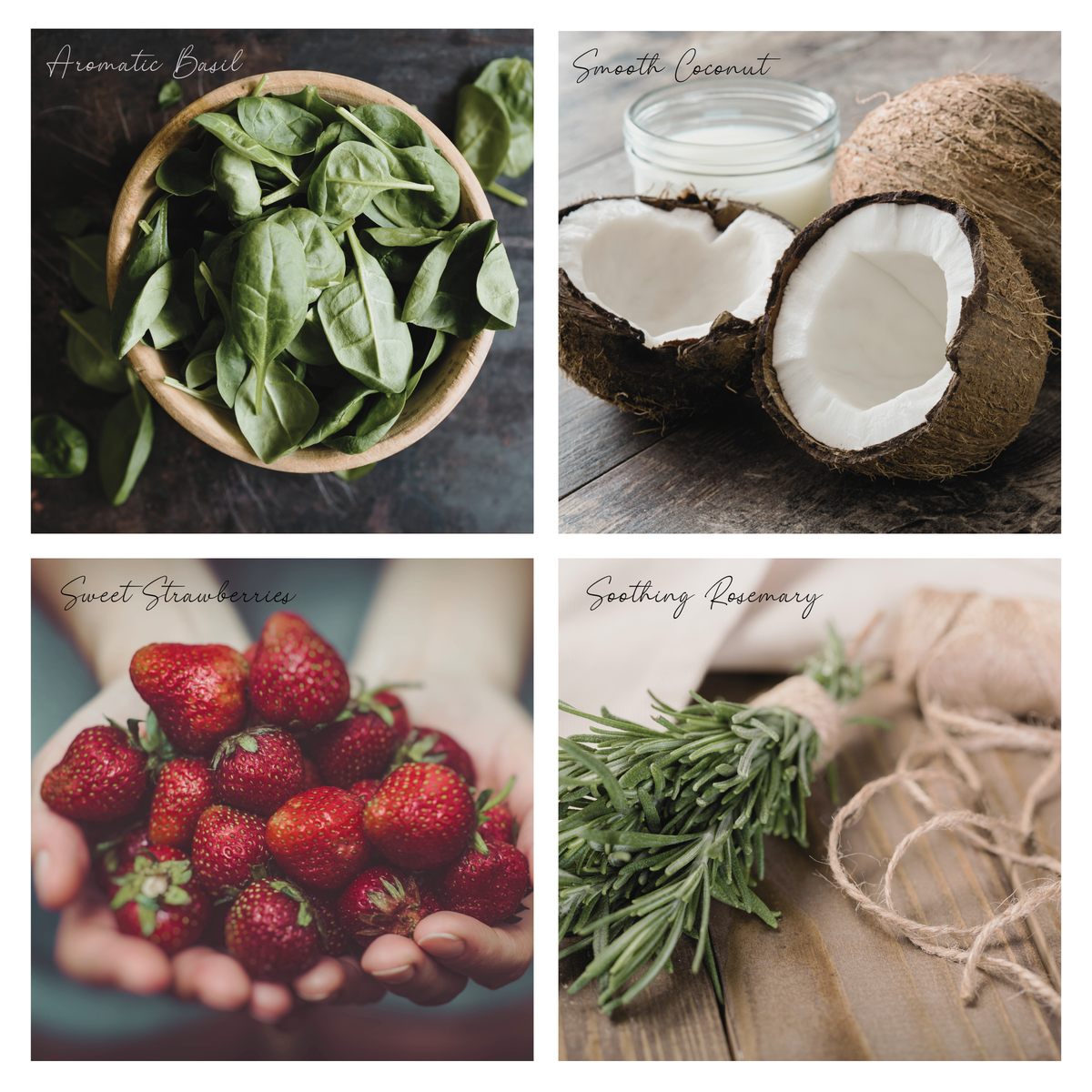 Be Poetic Simmer Pot Mix, Natural Strawberry Herb Aroma