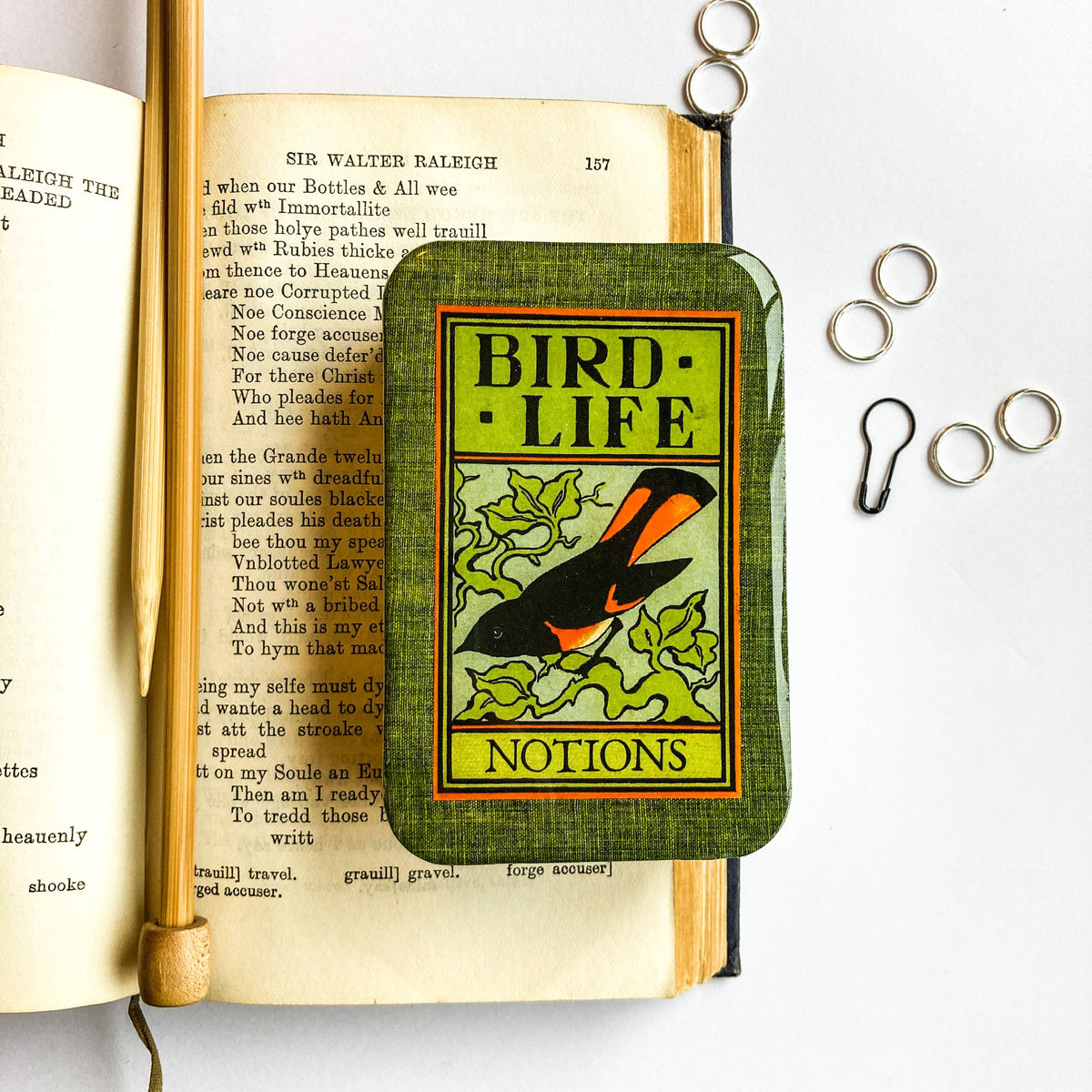 Bird life notions tin