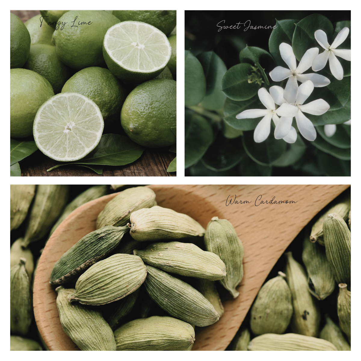 Be Cozy Simmer Pot Mix, Natural Jasmine Spice Aroma