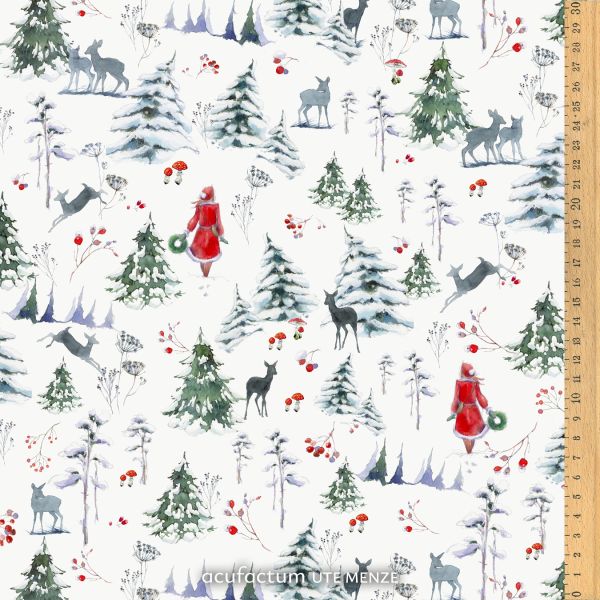 Acufactum Winter Walk