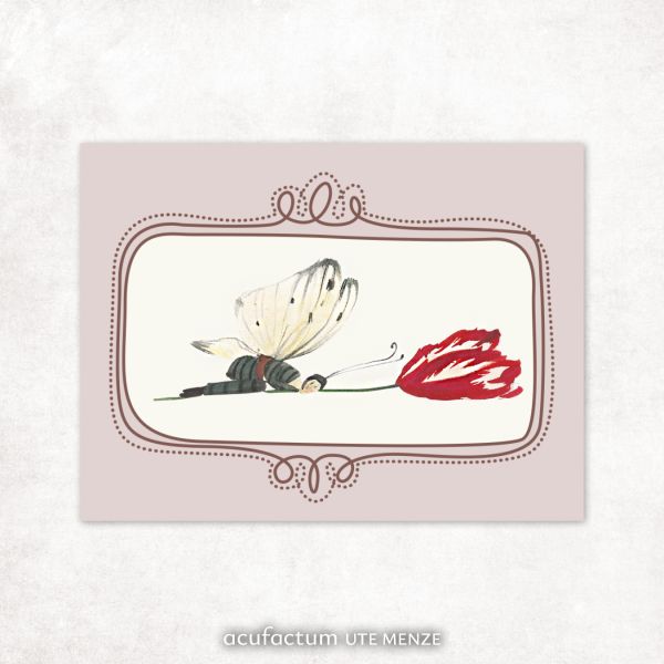 Acufactum Label Tulip Elf