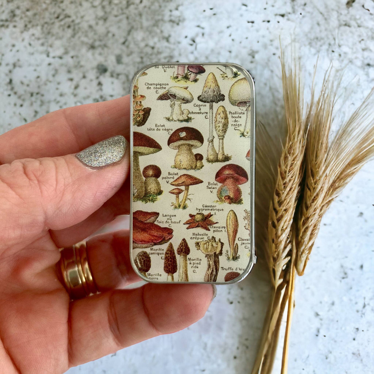 Mushroom Storage Tin