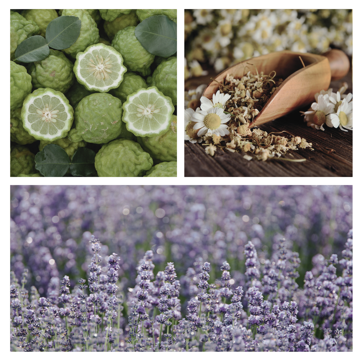 Be Still Simmer Pot Mix, Stovetop Potpourri