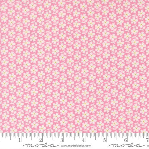 Summer’s End Lilac Daisies by Fig Tree & Co