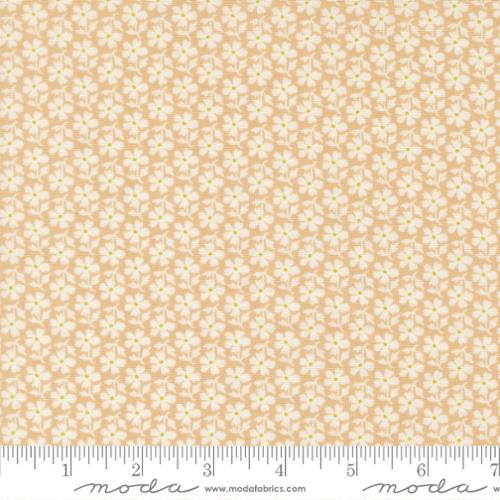 Summer’s End Almond Pie Daisies by Fig Tree & Co