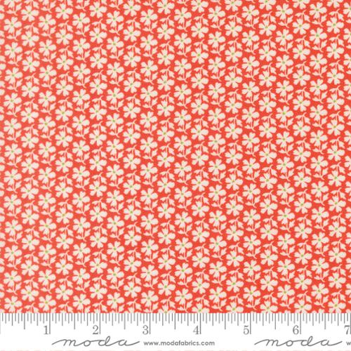 Summer’s End Persimmon Daisies by Fig Tree & Co