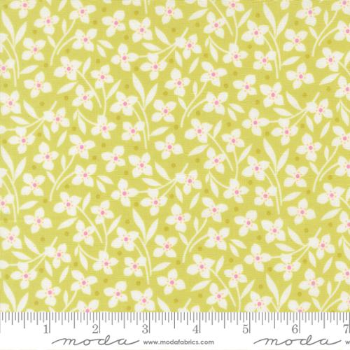 Summer’s End Sprout Forget-Me-Not Florals by Fig Tree & Co
