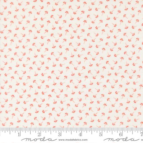 Summer’s End Persimmon Dandelion Wisps by Fig Tree & Co