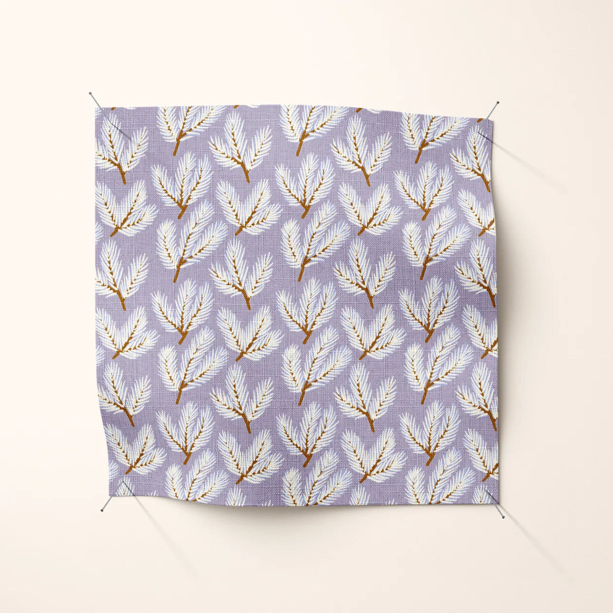 August Ellery December House: Sugared Fir