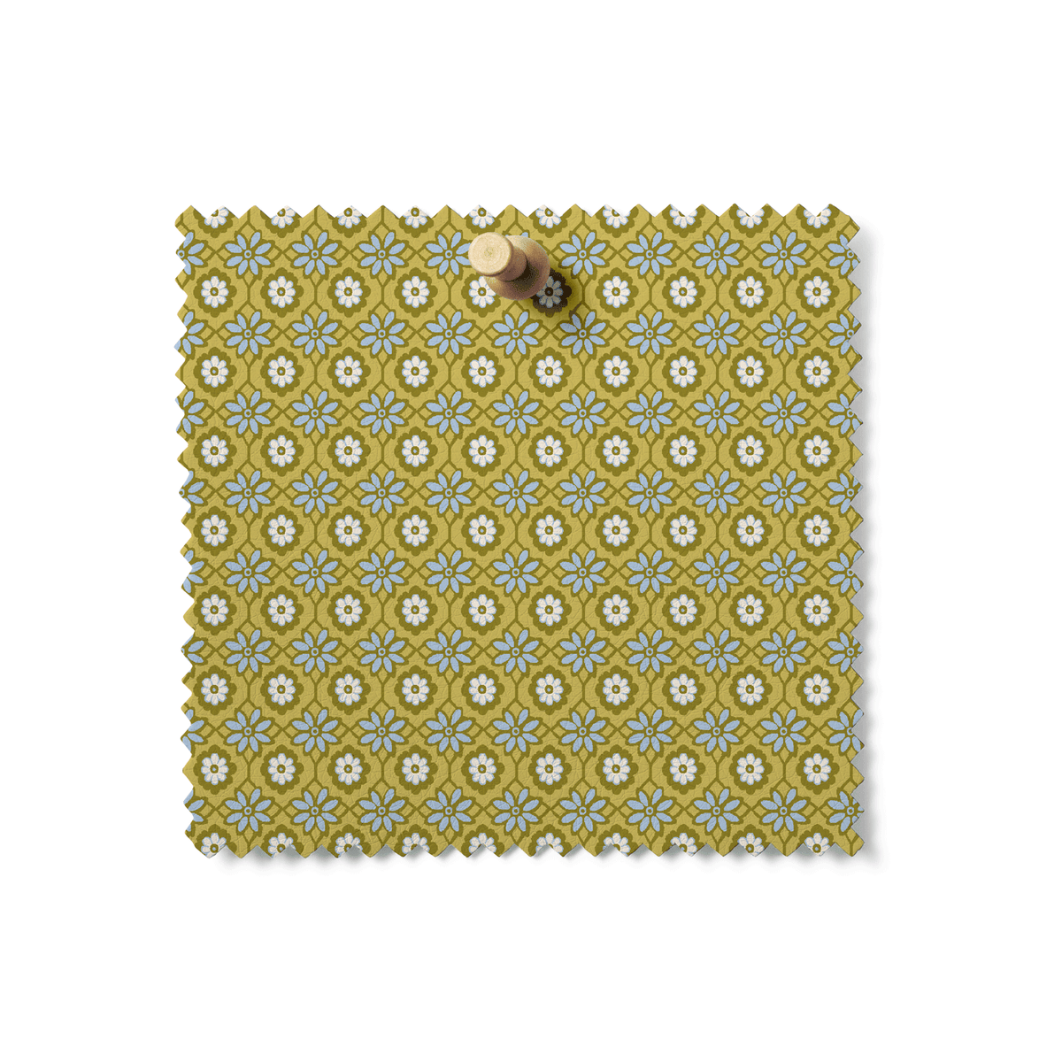 August Ellery Herbarium: Parlour Medallion