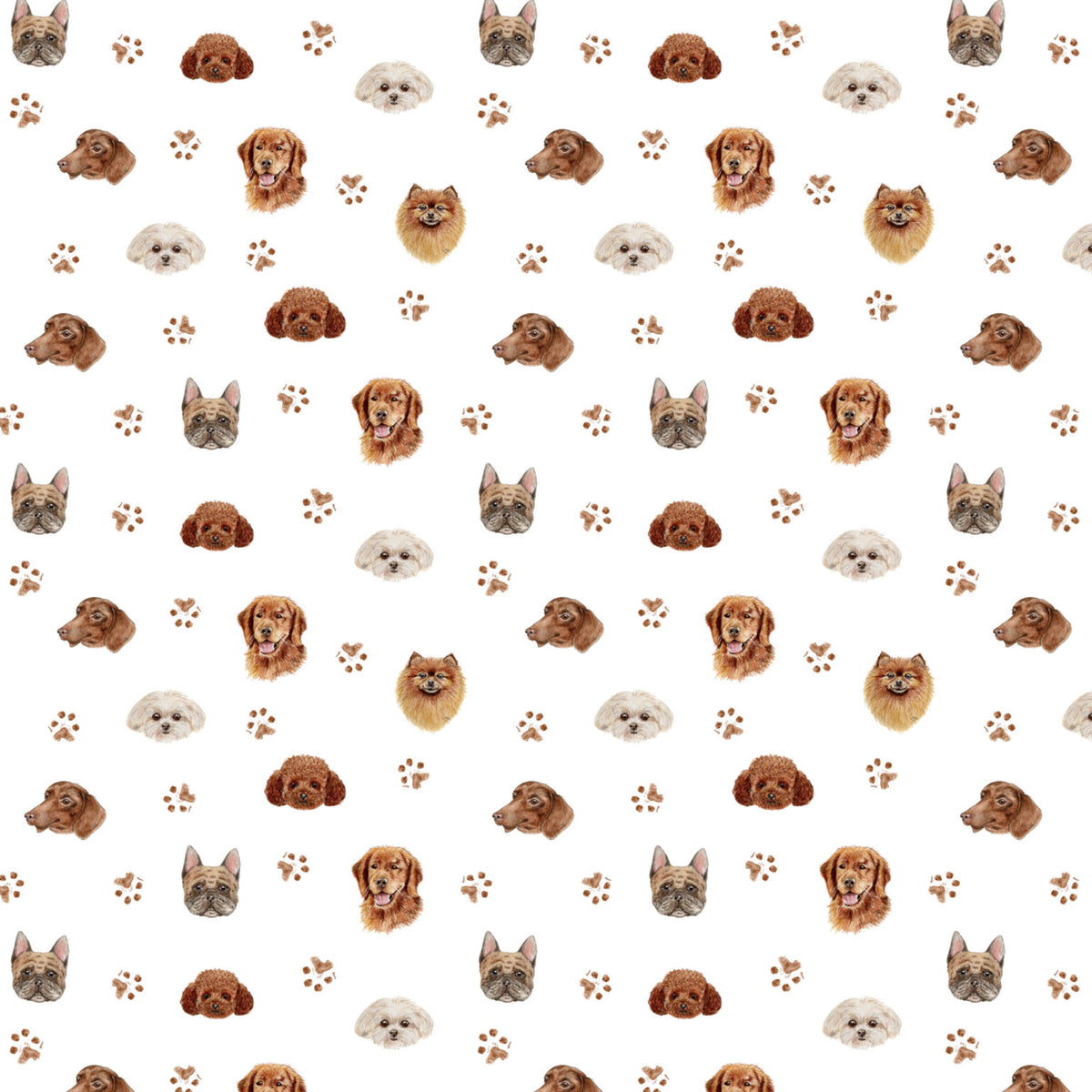 Amiably True "Dog Style"