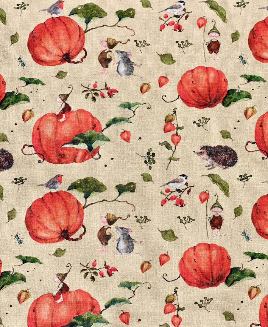 Dollbelge Fabric Magic Pumpkin Gnomes