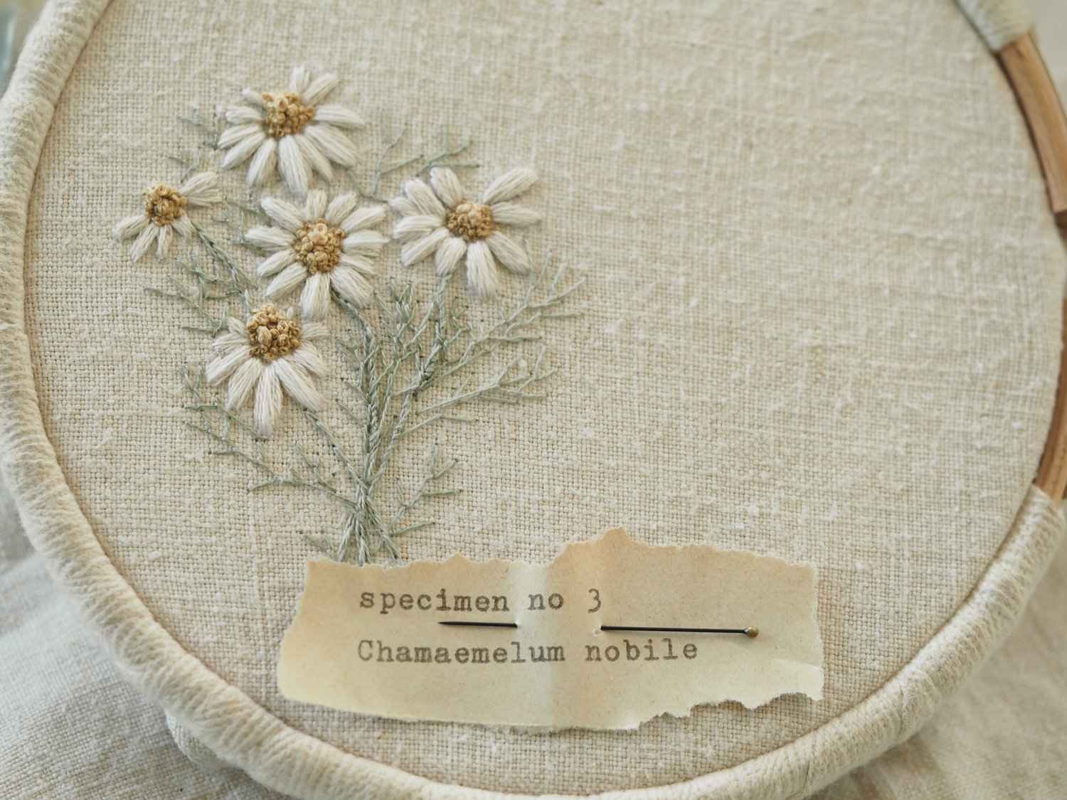 The Stitchery Embroidery Kit: Anniversary Stitch Sampler - Willow
