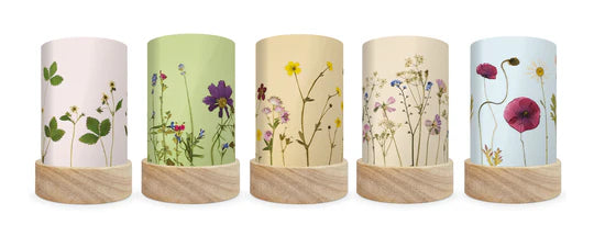 Toverlux Lantern Shades Beth Kendall - Pressed Flower Blooms