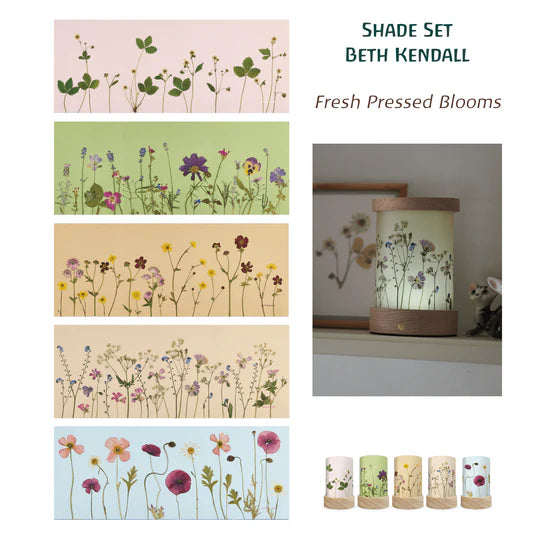 Toverlux Lantern Shades Beth Kendall - Pressed Flower Blooms
