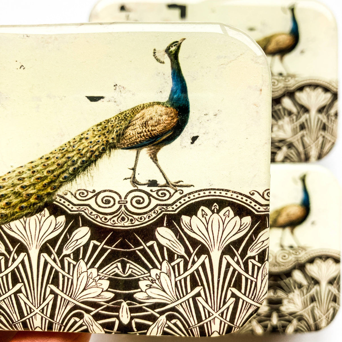 Peacock notions tin