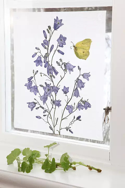 Emma Sjodin: Windowshade(39 x 43cm) Bellflower