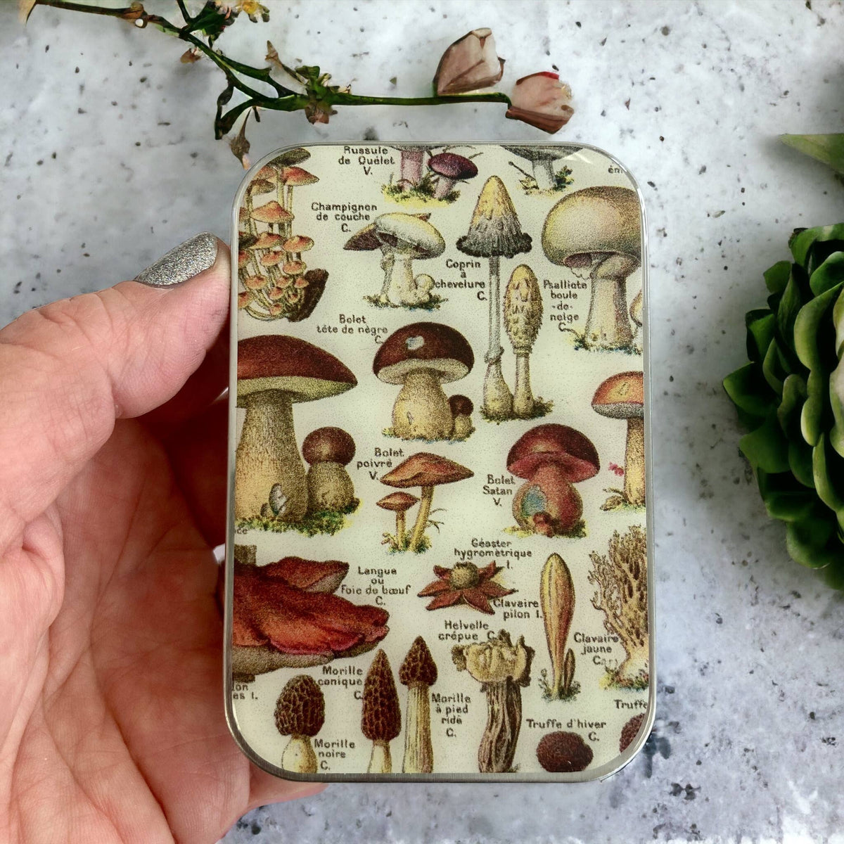 Mushroom Storage Tin