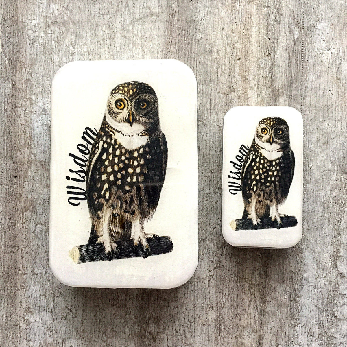 Wise Owl Tin