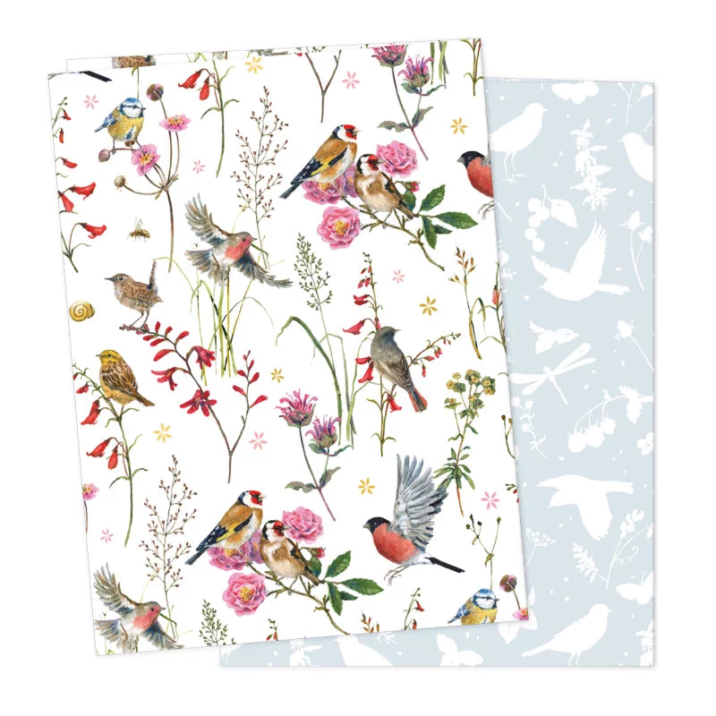 Daniela Drescher Gift Wrap