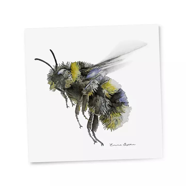 Emma Sjodin: Gift Card, Bumblebee