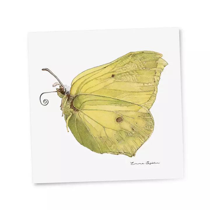 Emma Sjodin: Gift Card, Lemon Butterfly