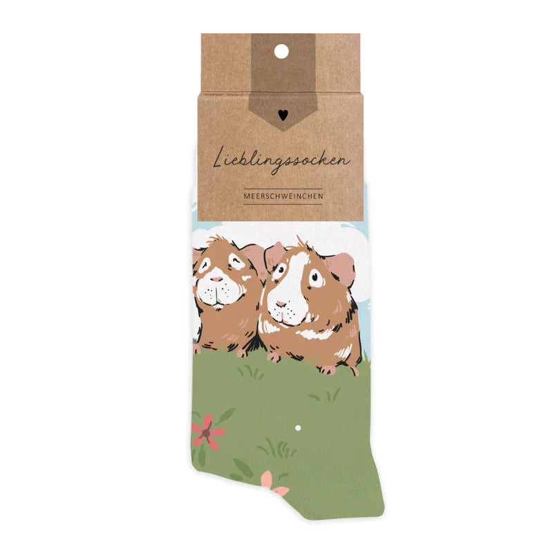 Socks: Guinea Pigs
