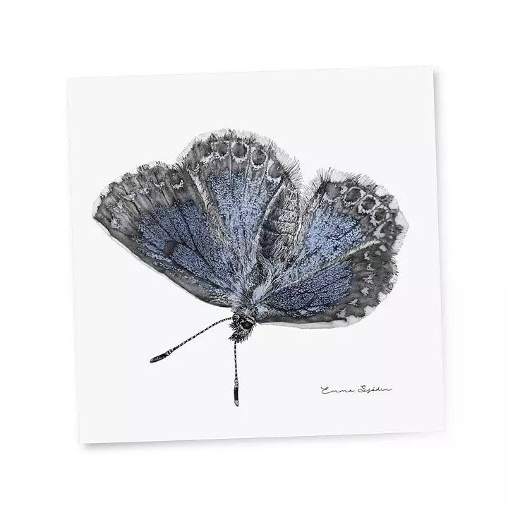Emma Sjodin: Gift Card, Blue Butterfly