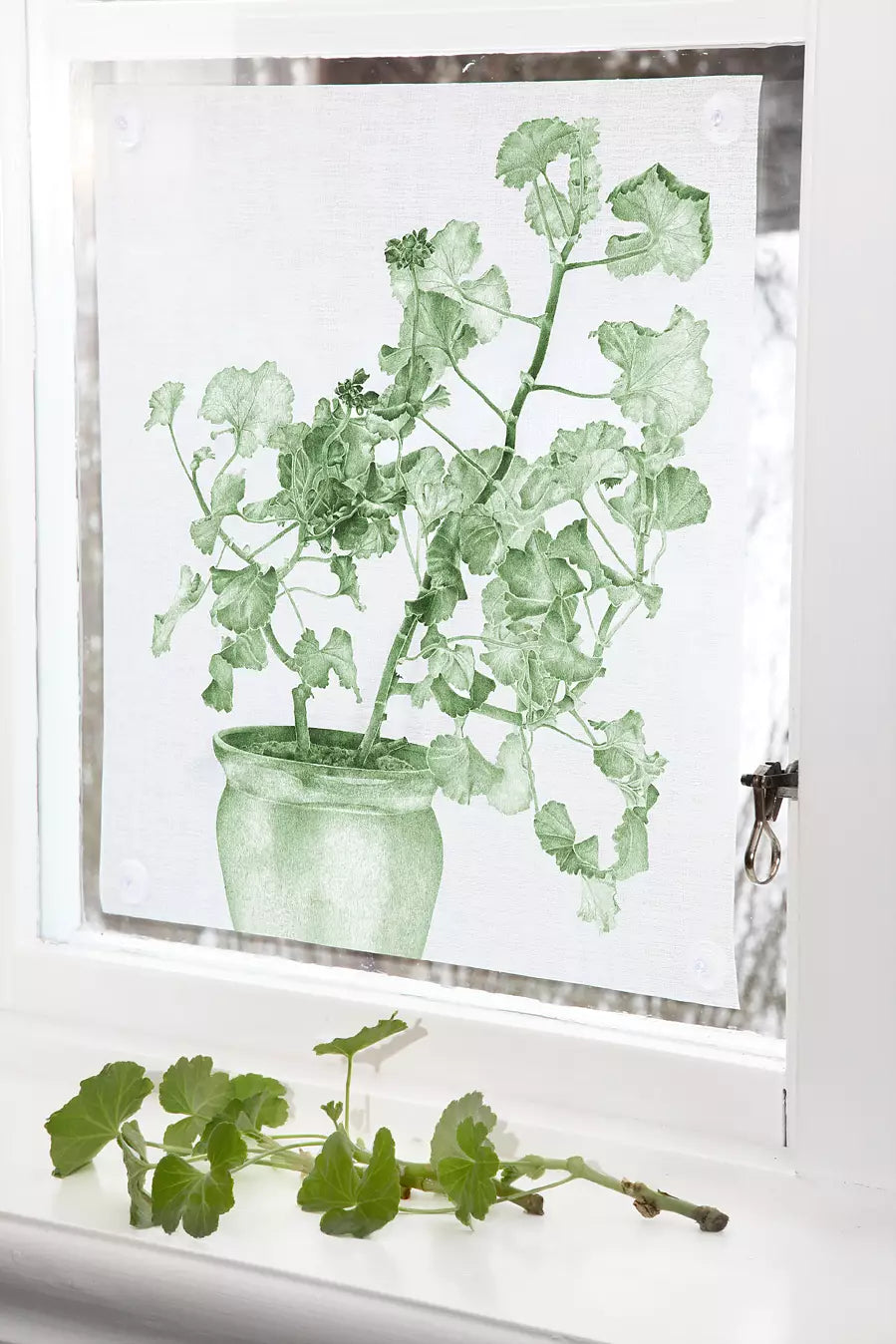 Green botanical art print on linen showcasing a potted plant; perfect for home decor.
