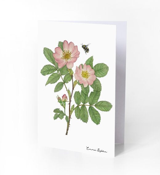 Emma Sjodin: Greeting Card, Wild Rose