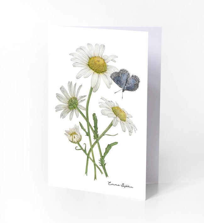 Emma Sjodin: Greeting Card, Daisies