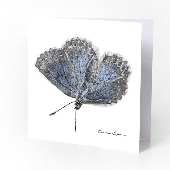 Emma Sjodin: Greeting Card, Butterfly