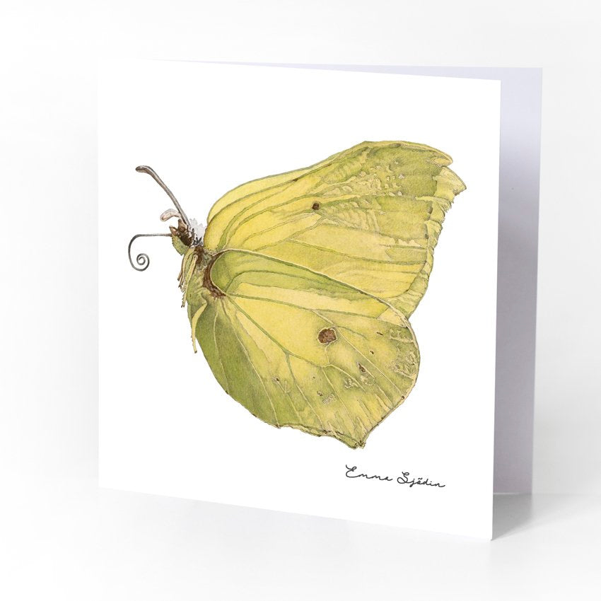 Emma Sjodin: Greeting Card, Lemon Butterfly