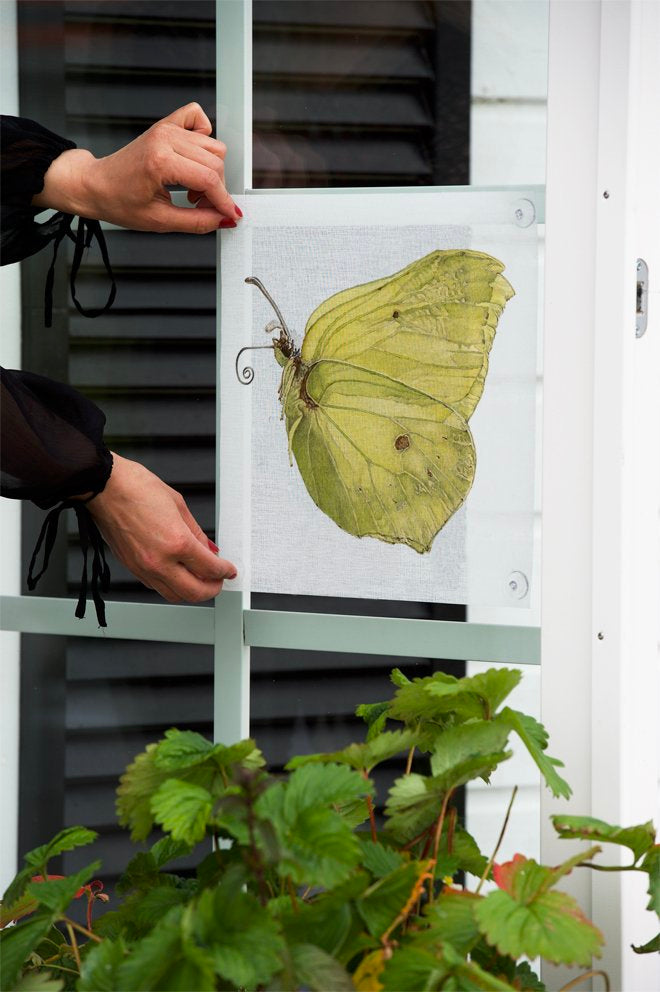 Emma Sjodin: Windowshade (31 x 31cm), Lemon Butterfly