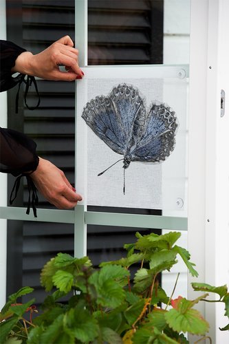 Emma Sjodin: Windowshade (31 x 31cm), Blue Butterfly