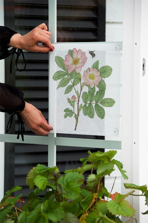 Floral art print featuring pink roses and greenery, displayed on a window, ideal for home decor.