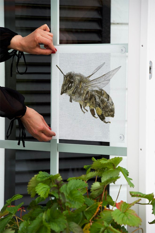 Emma Sjodin: Windowshade (31 x 31cm) Honey Bee