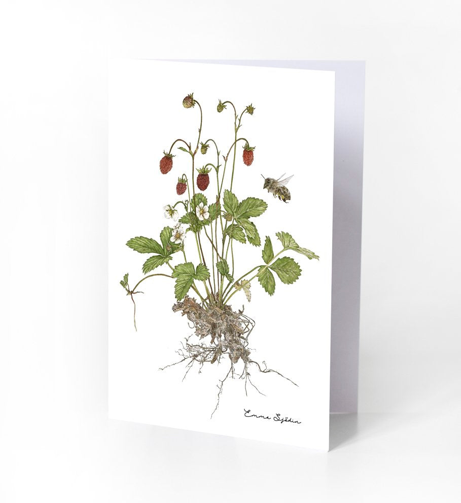 Emma Sjodin: Greeting Card, Wild Strawberries