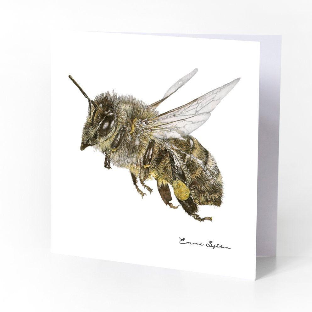 Emma Sjodin: Greeting Card, Honeybee